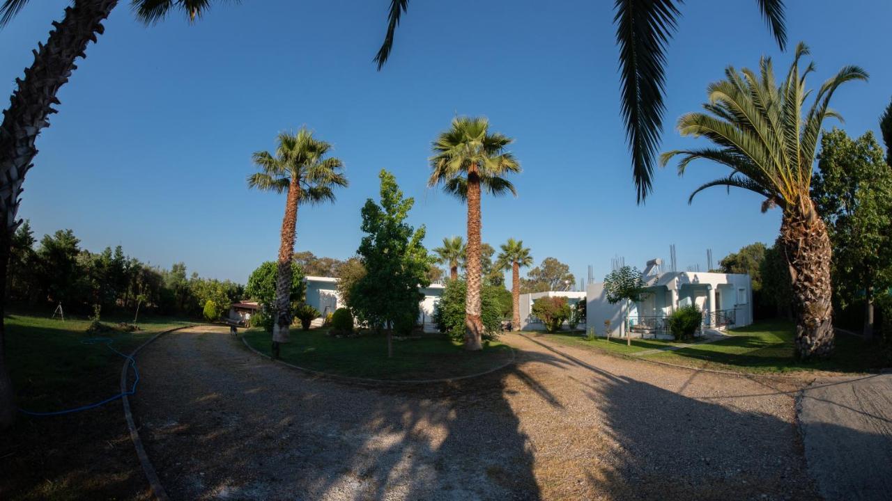 Goldener Strand Zacharo Exterior foto